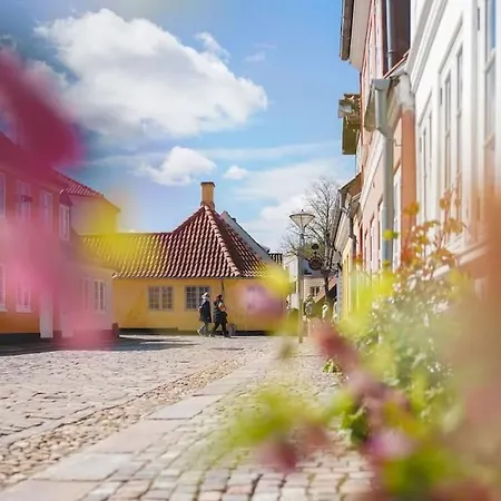 Villaodense - A Luxurious In The Heart Of *