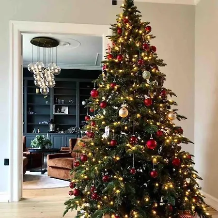 Luxury Villa - Exceptional Location In City Center With Free Parking * Odense